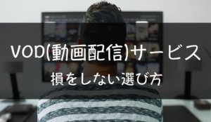 vod(動画配信)サービスの選び方について